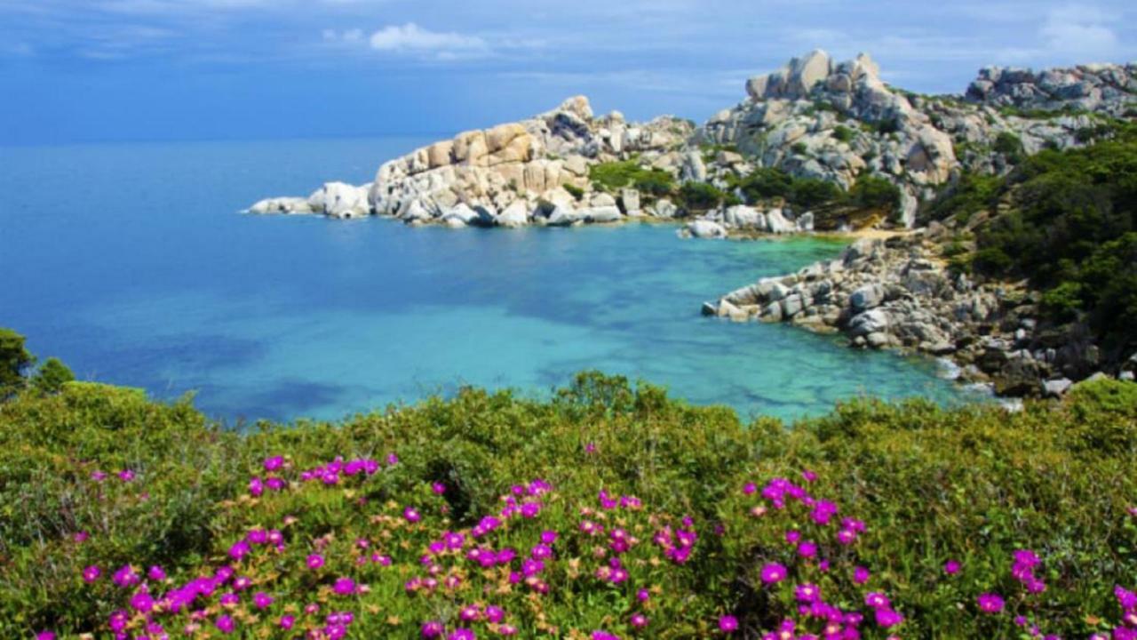 شقة Vacanze Sardegna سانتا تيريزا غالّورا المظهر الخارجي الصورة