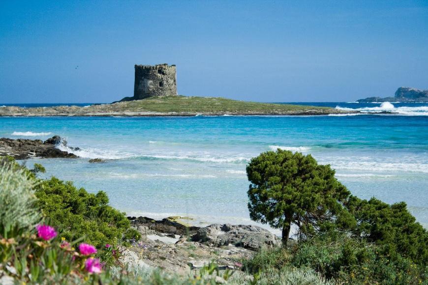 شقة Vacanze Sardegna سانتا تيريزا غالّورا المظهر الخارجي الصورة